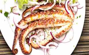 Oktopus vom Grill